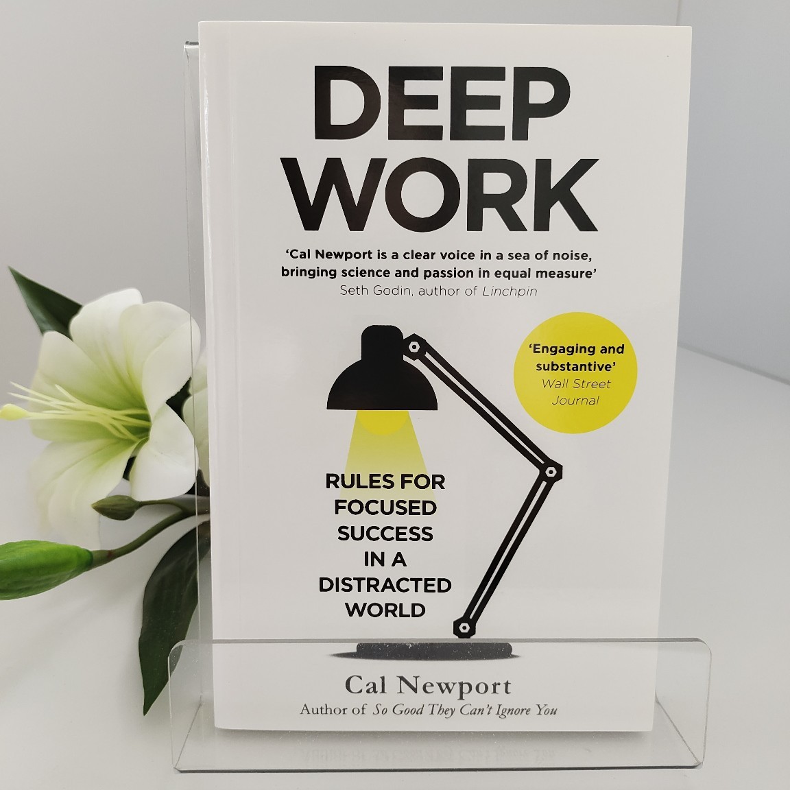 Renewable Energy Books - Derin Çalışma - Cal Newport |