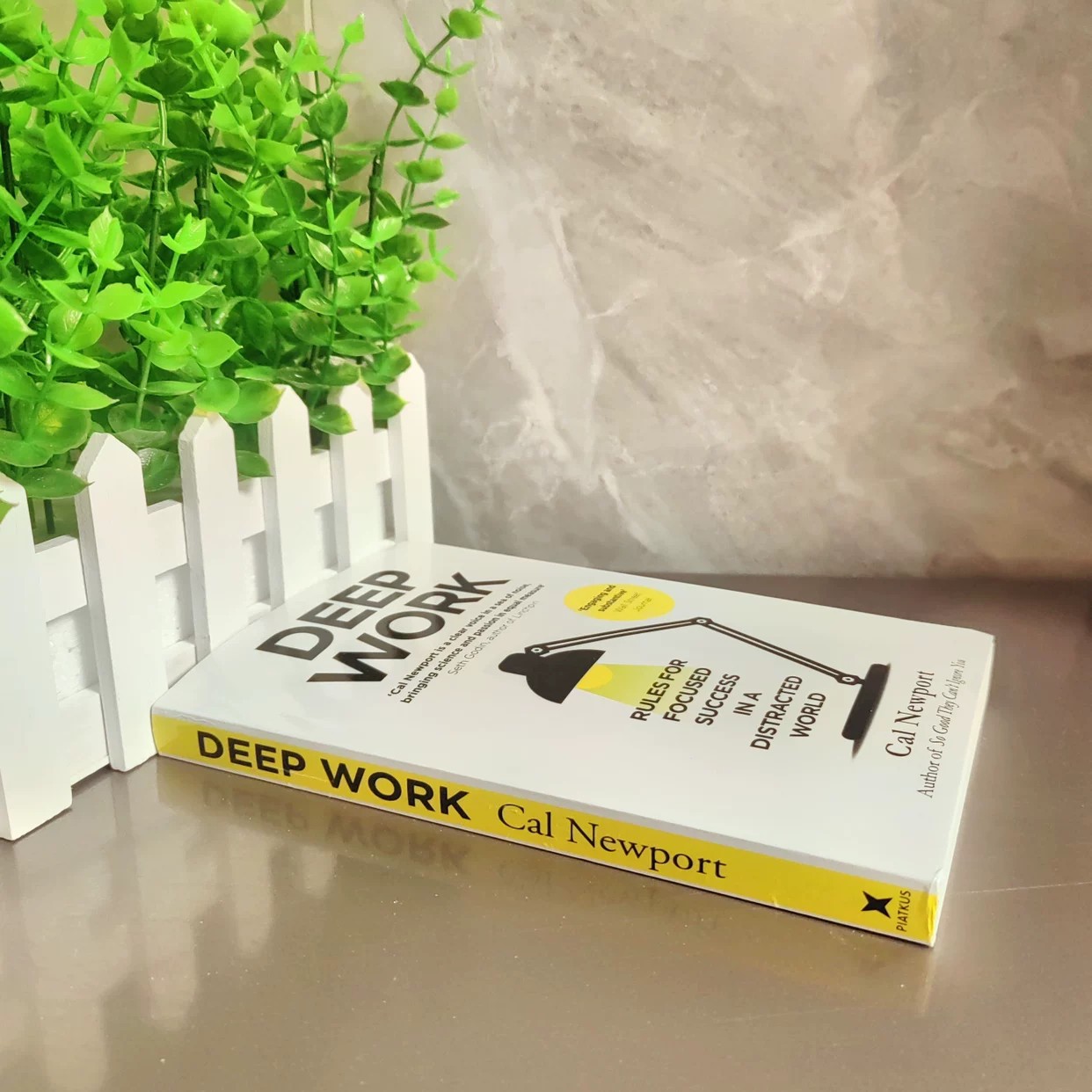 Derin Çalışma - Cal Newport |  - Renewable Energy Books incelemesi ve fiyatı
